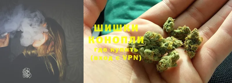 Канабис White Widow  Северская 